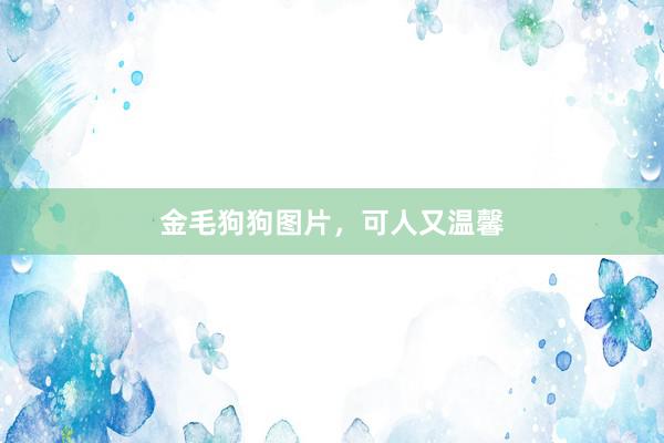 金毛狗狗图片，可人又温馨